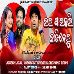 Bhal Paikari Chhadidelu